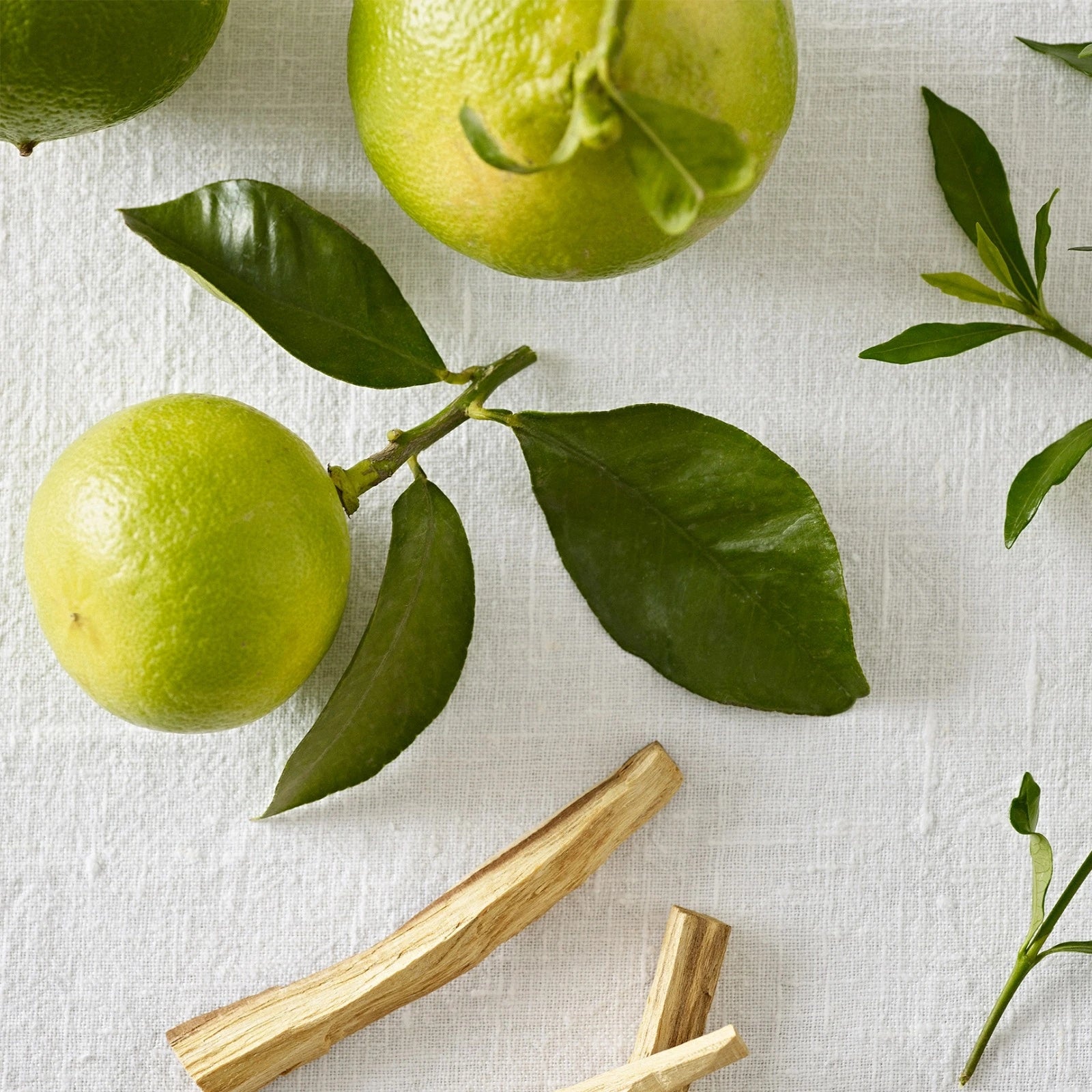 Spa Unwind Bergamot Çubuklu Oda Kokusu 100 ml – Ferahlatıcı ve Rahatlatıcı Spa Atmosferi